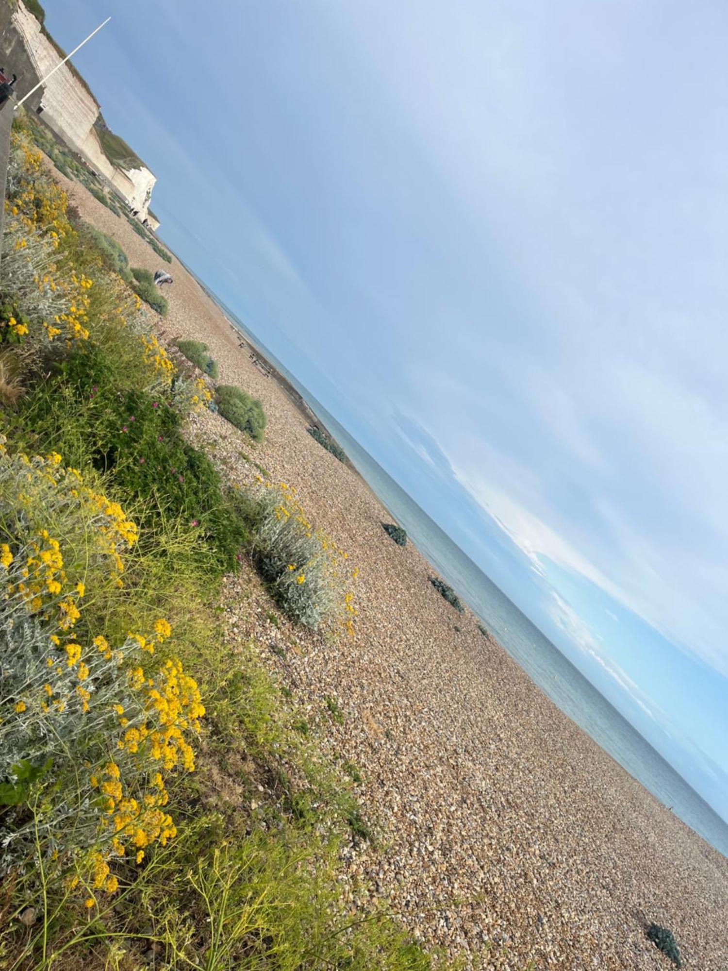 Saltdean Stay Hove Buitenkant foto
